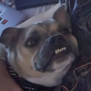 Meet your Posher, Kawaii